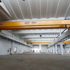 Raimondi Cranes