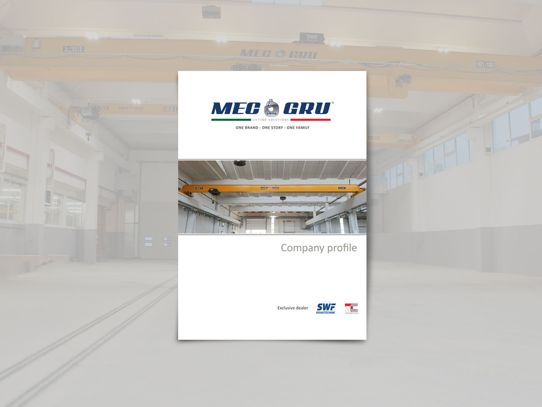 MECGRU-company-profile